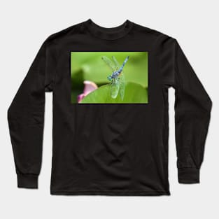 Blue Dasher Long Sleeve T-Shirt